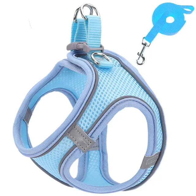 Cat Harness