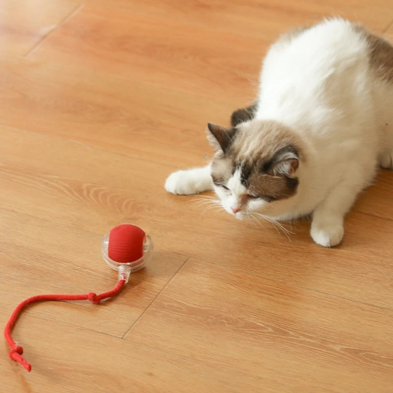 Ball Toy