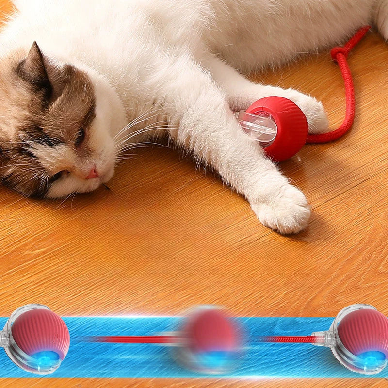 Ball Toy