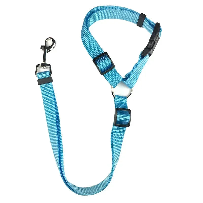Car Seat Belt