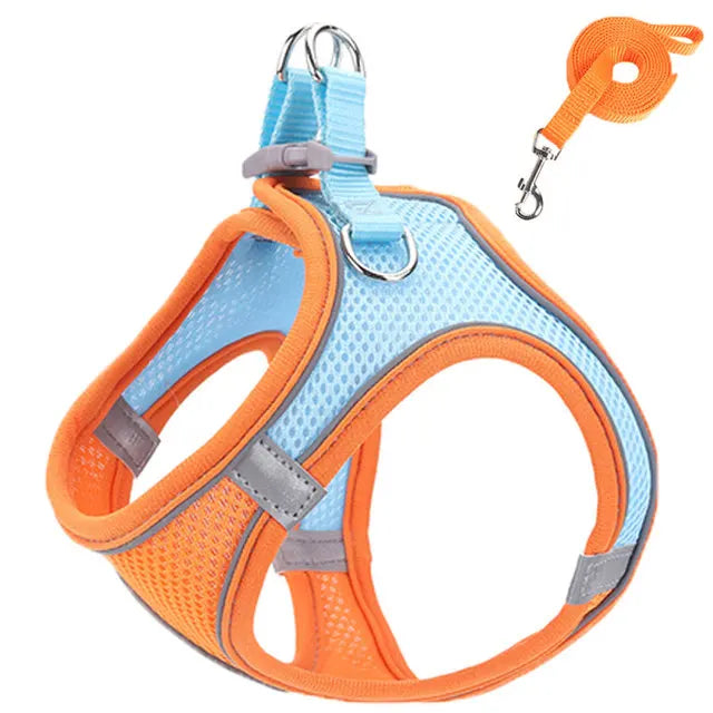 Cat Harness