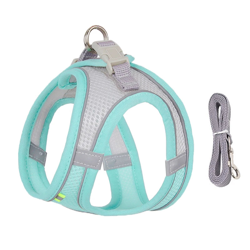 Cat Harness
