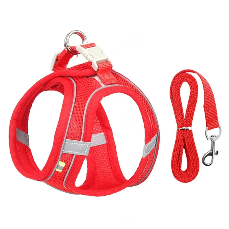 Puppy Harness