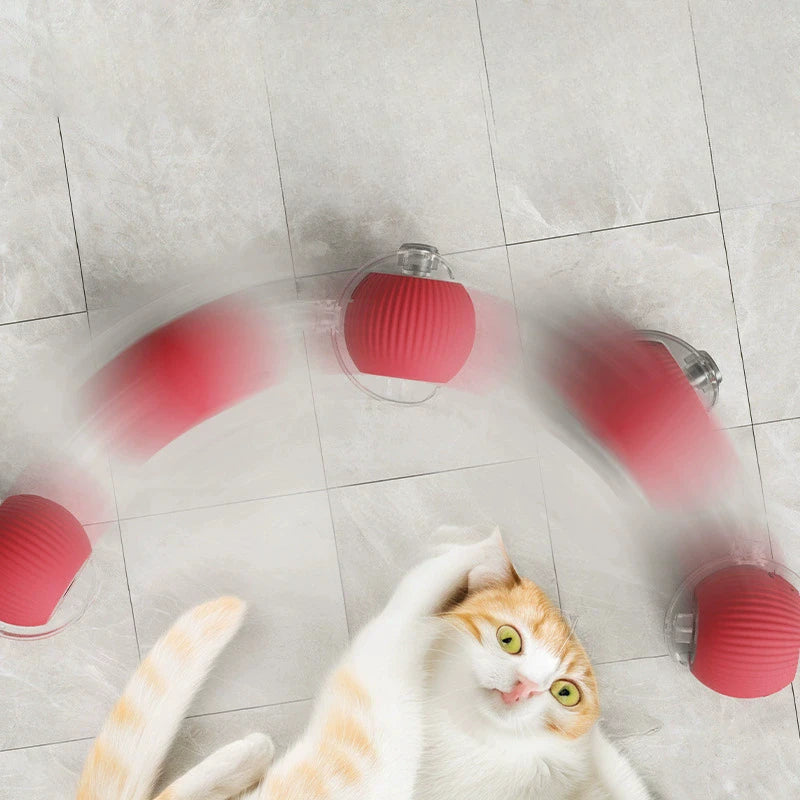 Ball Toy