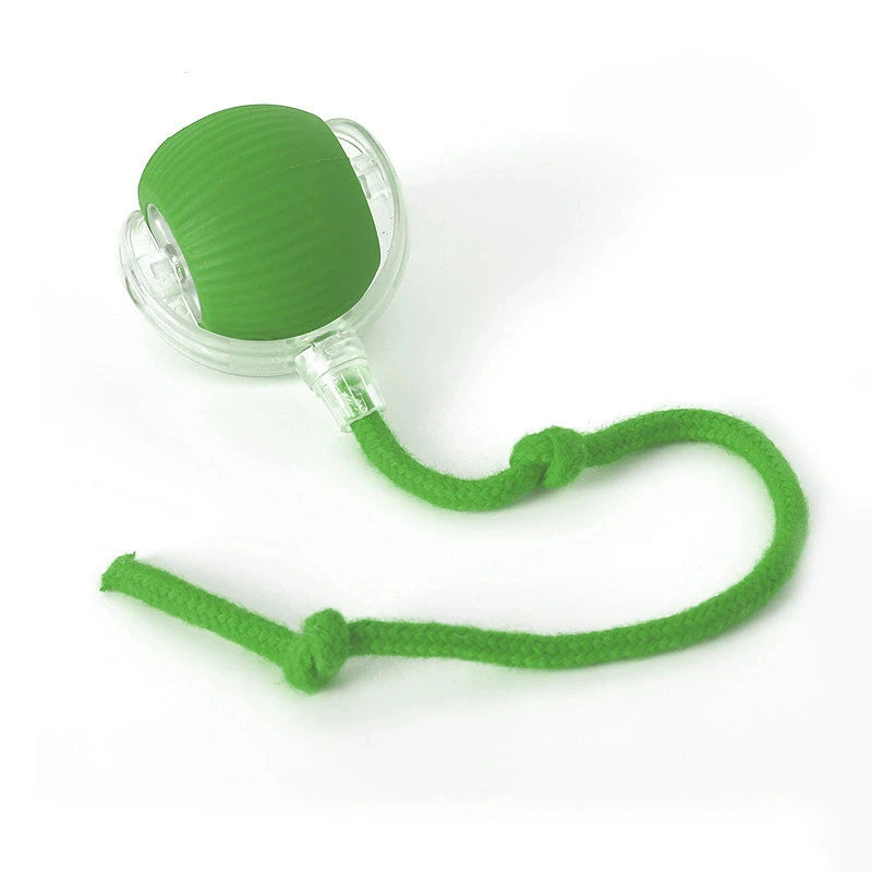 Ball Toy