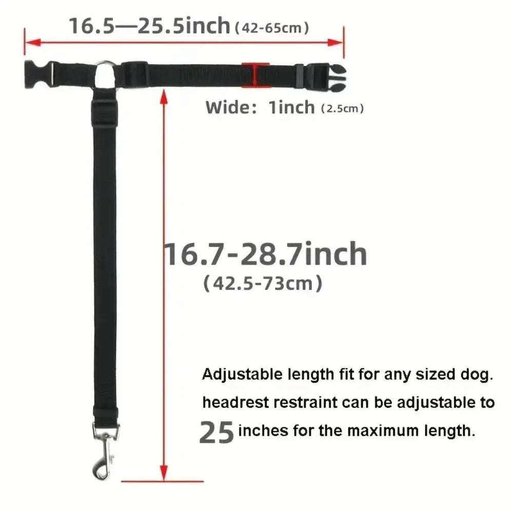Car Seat Belt