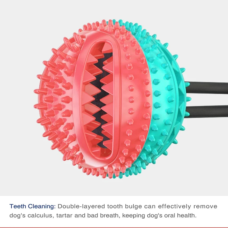 Chew Toy