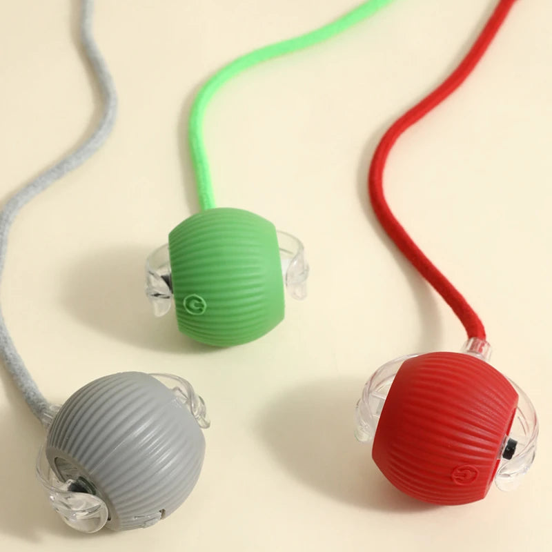 Ball Toy