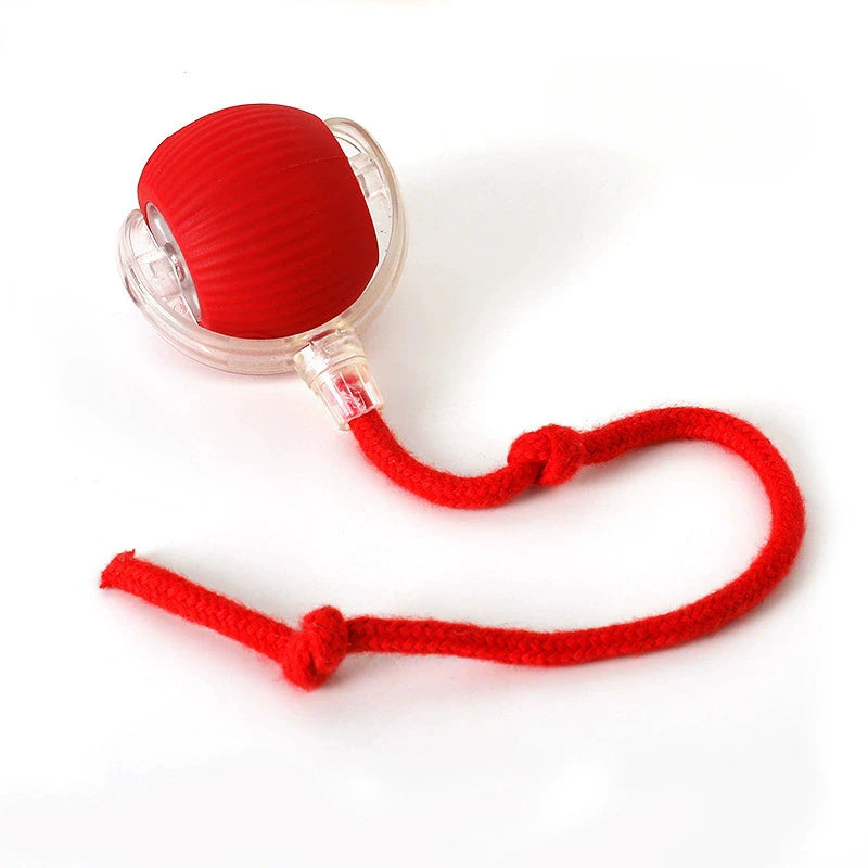 Ball Toy