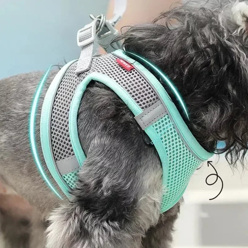 Puppy Harness