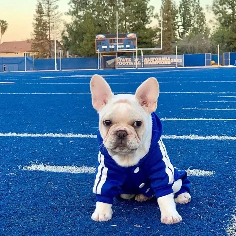 Pets Clothing