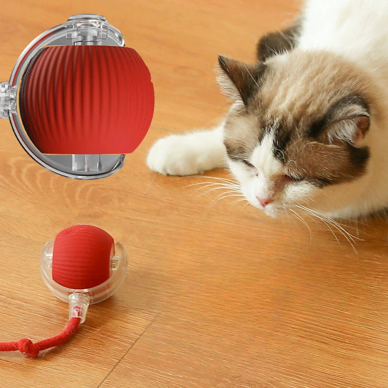 Ball Toy