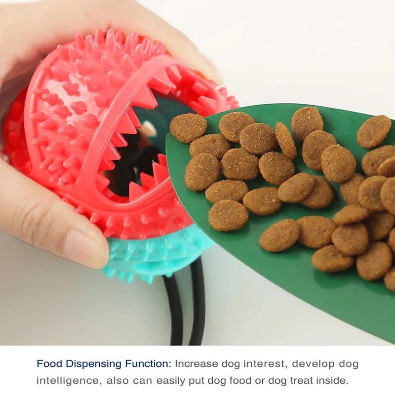 Chew Toy