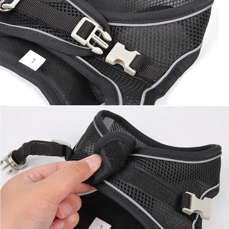 Puppy Harness