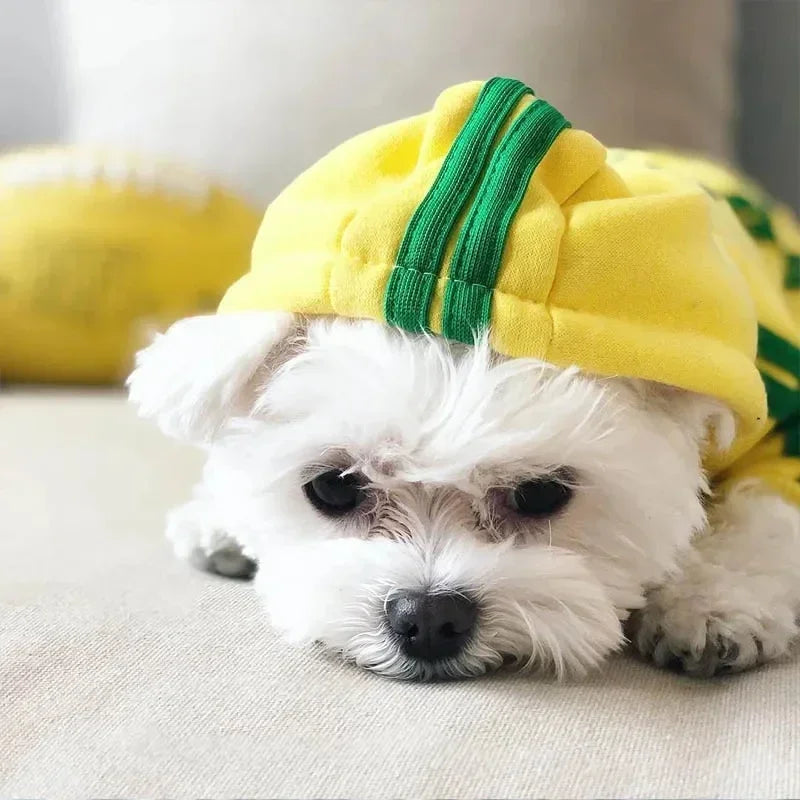 Pets Clothing