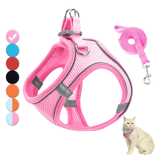 Cat Harness