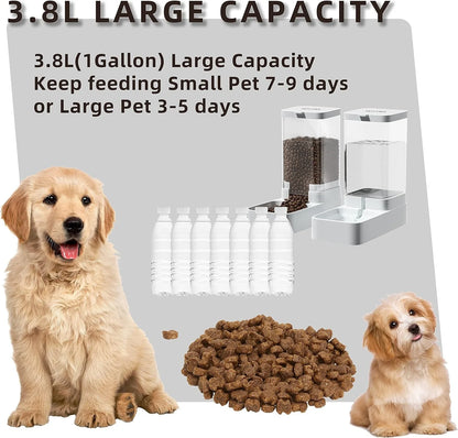 Dog Feeder