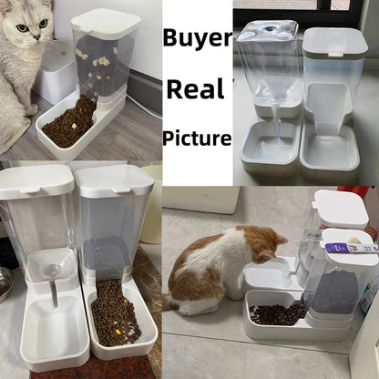 Dog Feeder