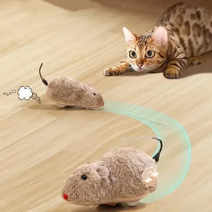 Simulation Mouse