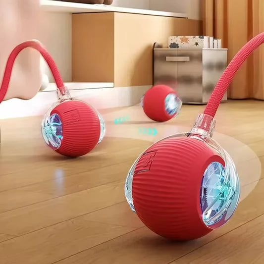Ball Toy
