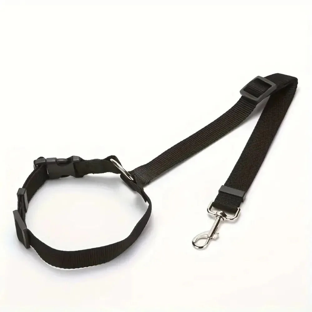 Car Seat Belt