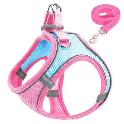 Cat Harness