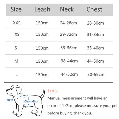 Cat Harness