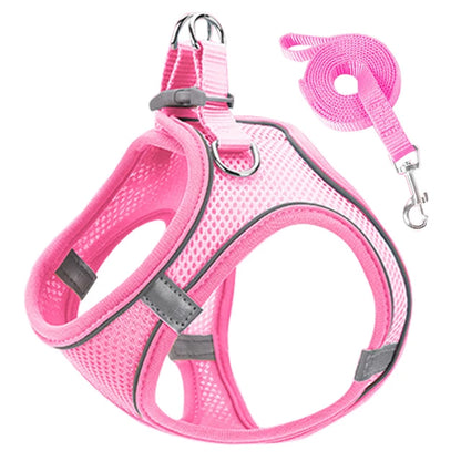 Cat Harness
