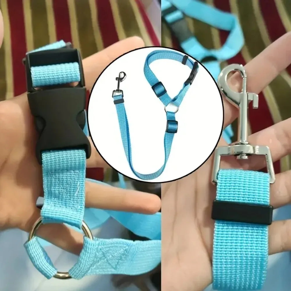 Car Seat Belt