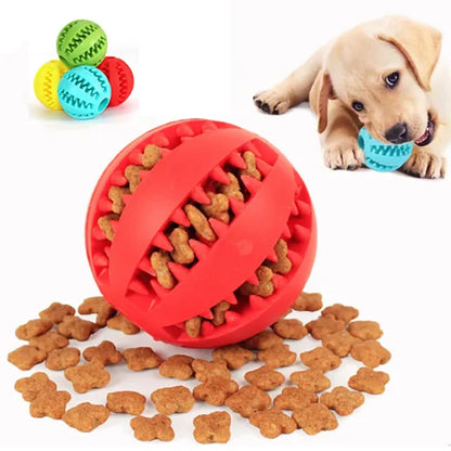 Chew Toy