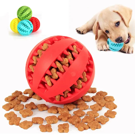 Chew Toy