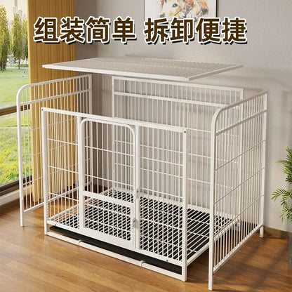 Crate for pet