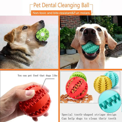 Chew Toy