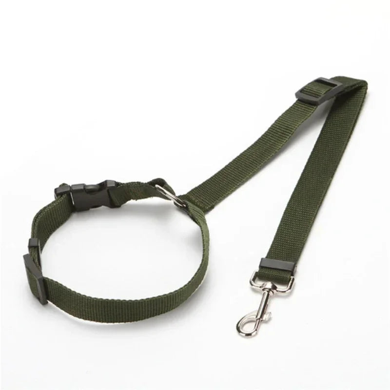 Car Seat Belt