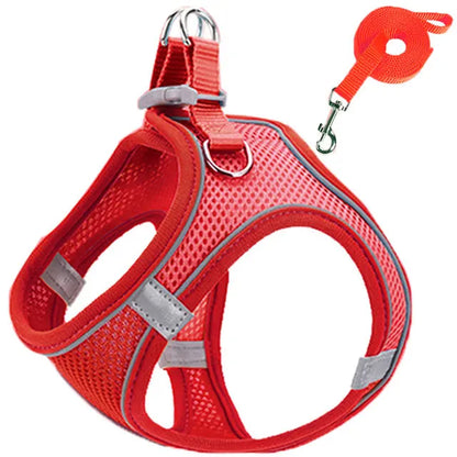 Cat Harness