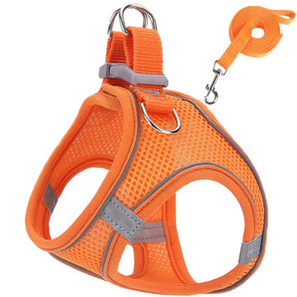 Cat Harness