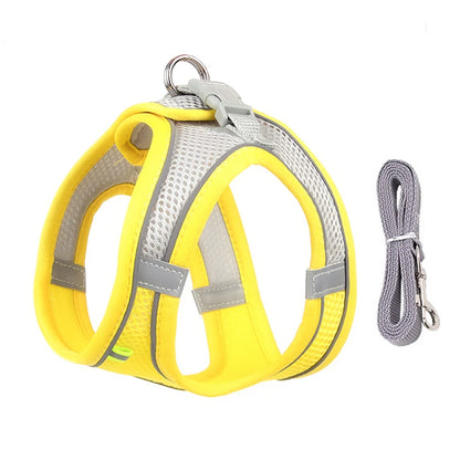 Cat Harness