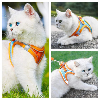 Cat Harness