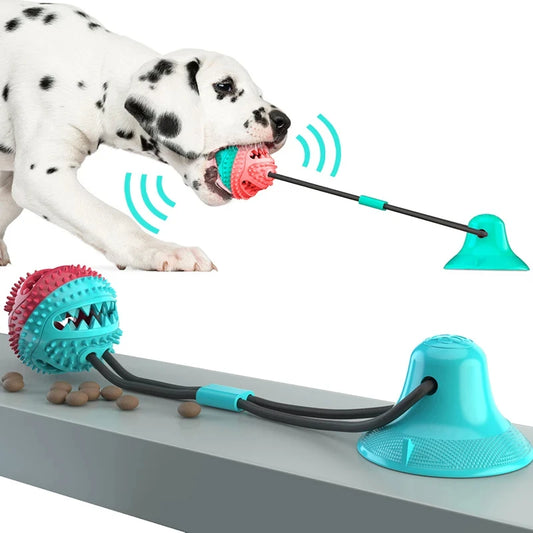 Chew Toy
