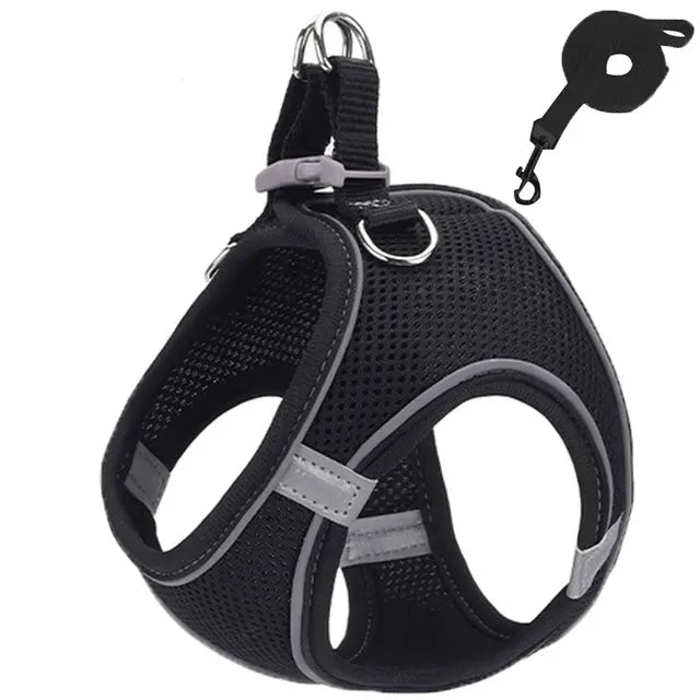 Cat Harness