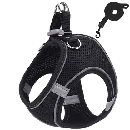 Cat Harness