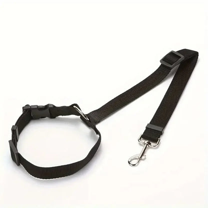 Car Seat Belt