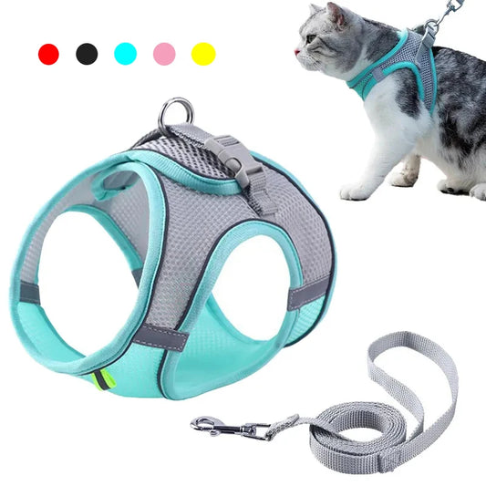 Cat Harness
