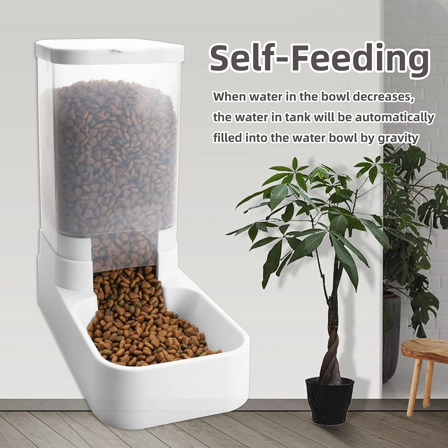 Dog Feeder