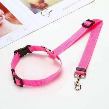Car Seat Belt