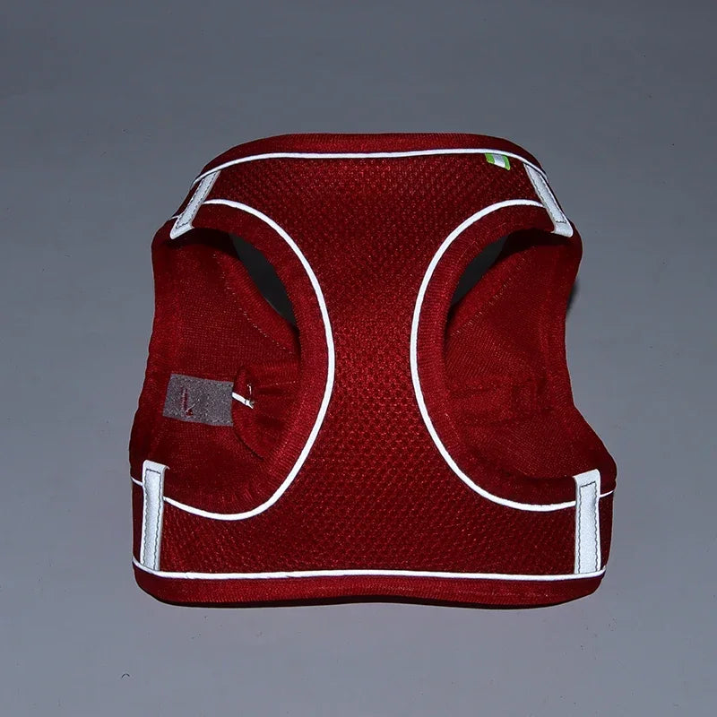 Puppy Harness