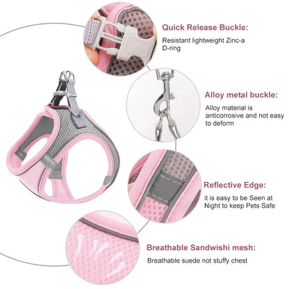 Cat Harness
