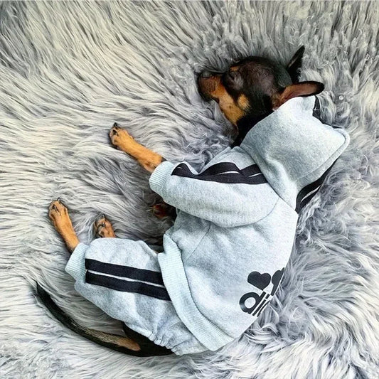 Pets Clothing