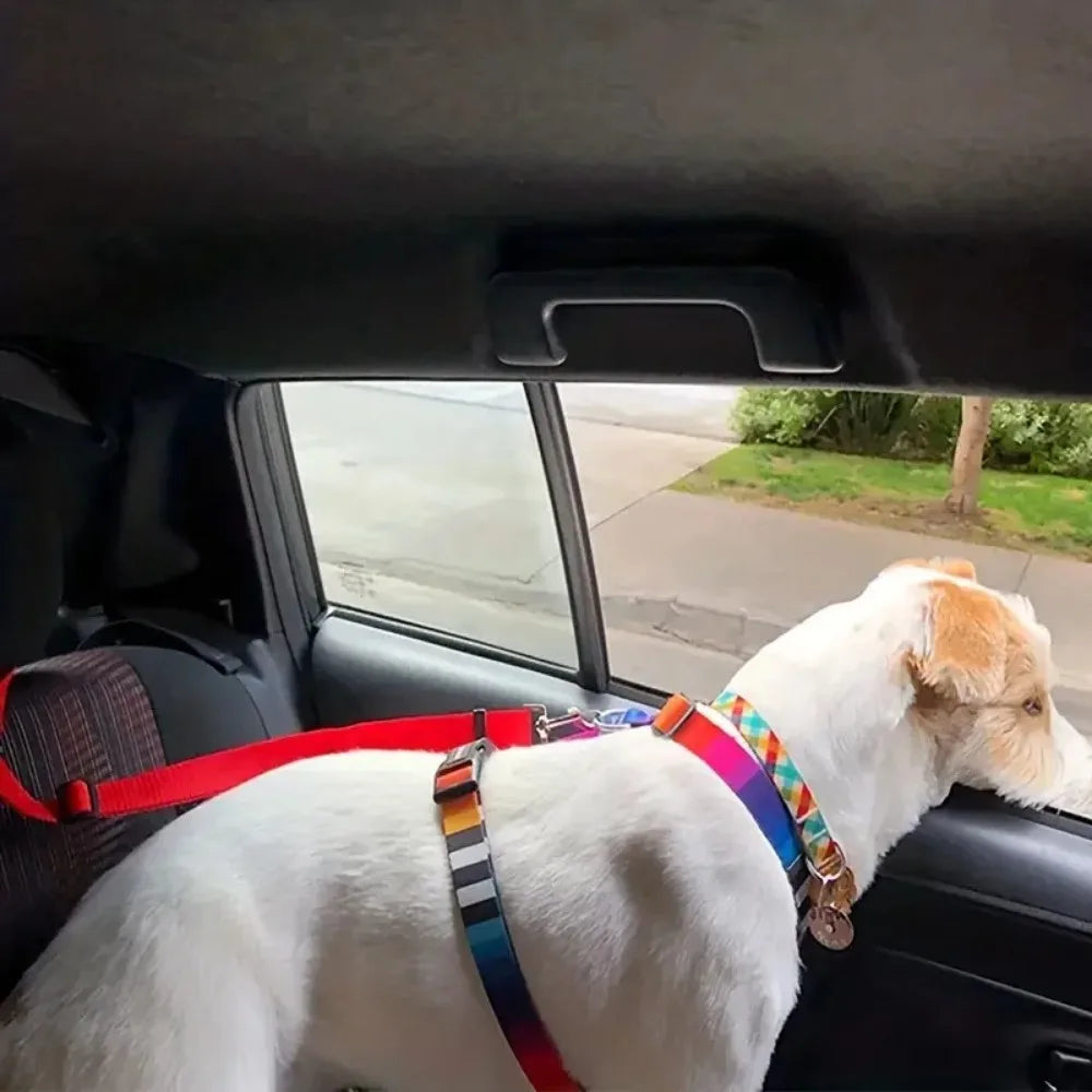 Car Seat Belt
