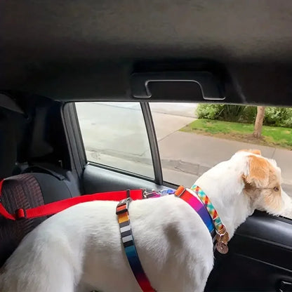 Car Seat Belt